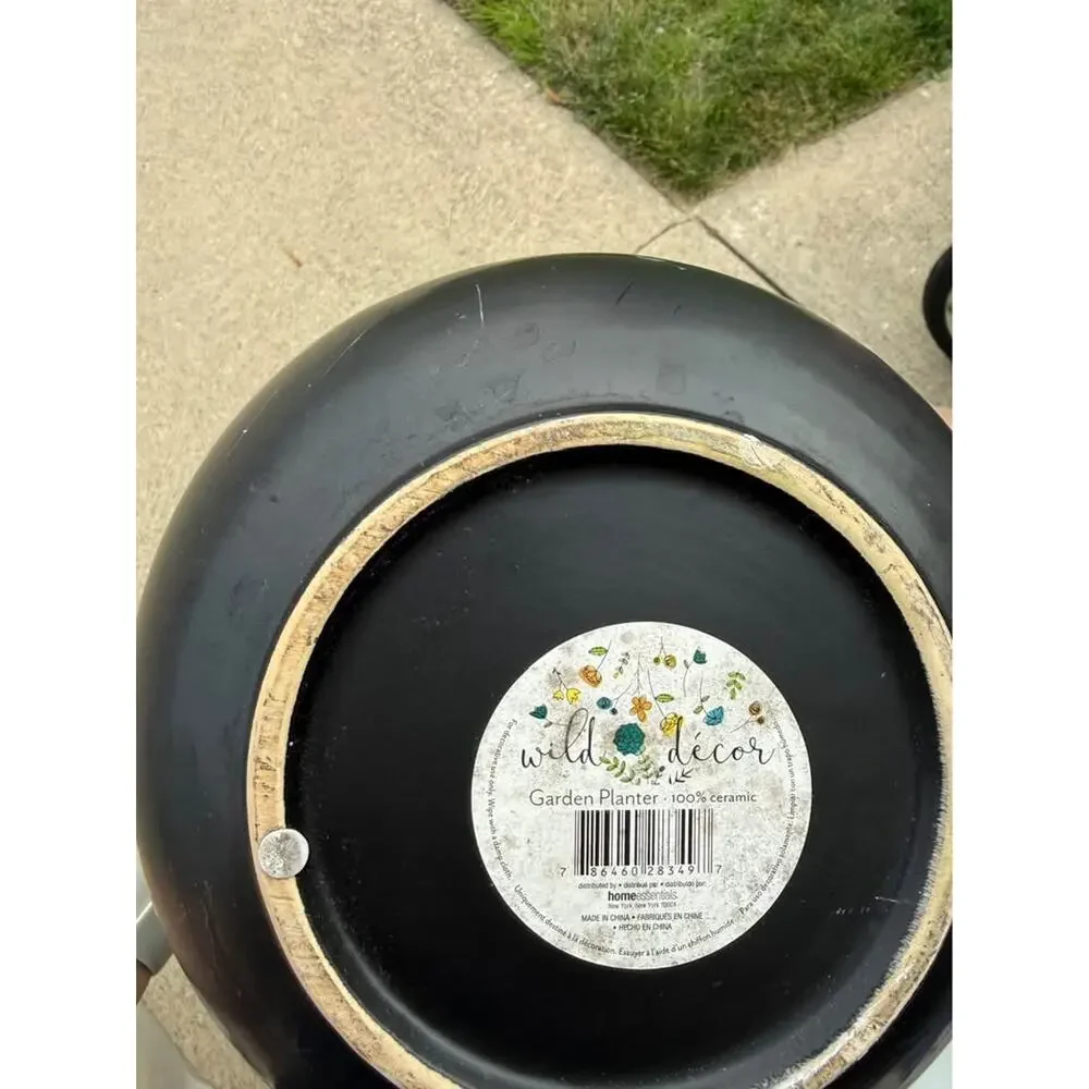 Sleek Black Modern Ceramic Planter